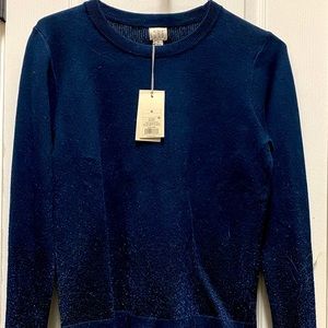Sparkly Sweater NWT